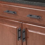 Kitchen Cabinet Handles With Backplates