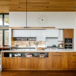Mid Century Modern Kitchen Ideas