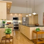 Pictures Of Kitchens With Maple Cabinets
